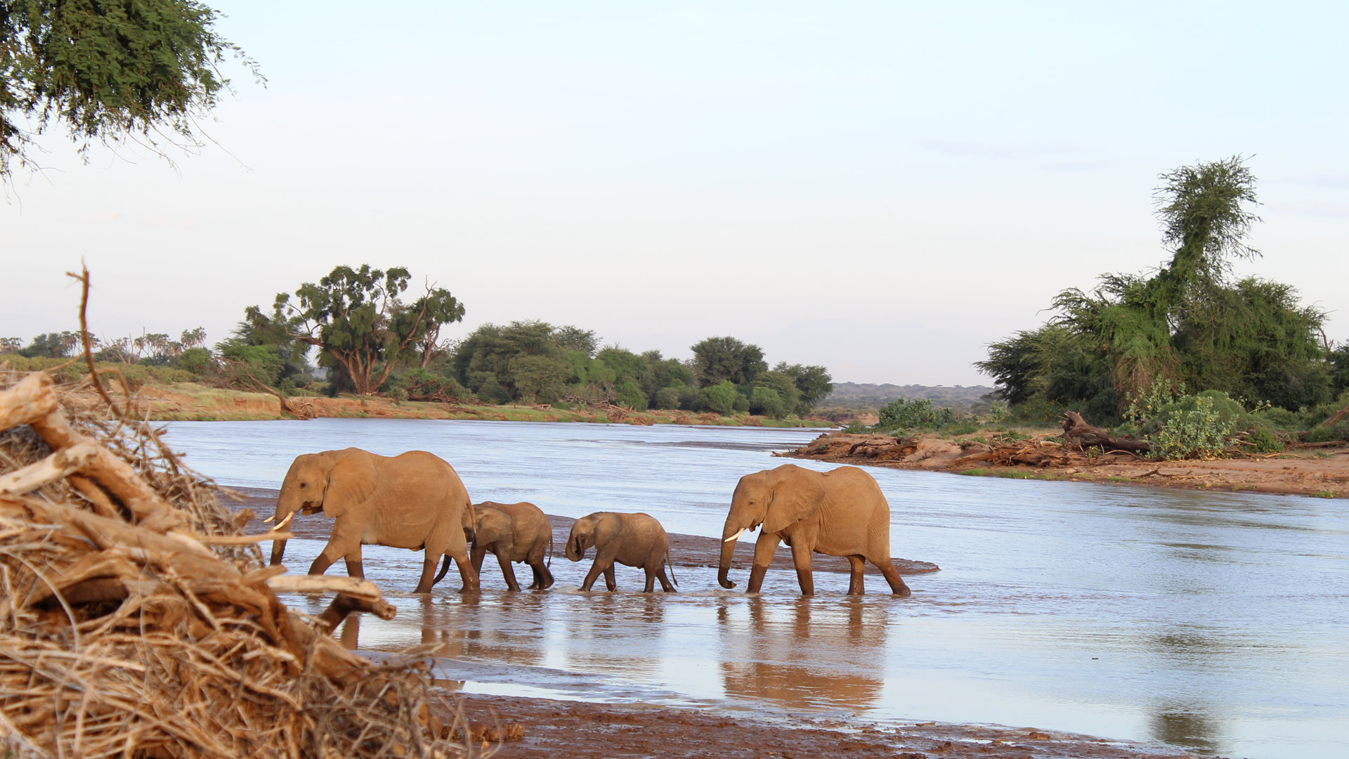 11 days wildlife thrills experience