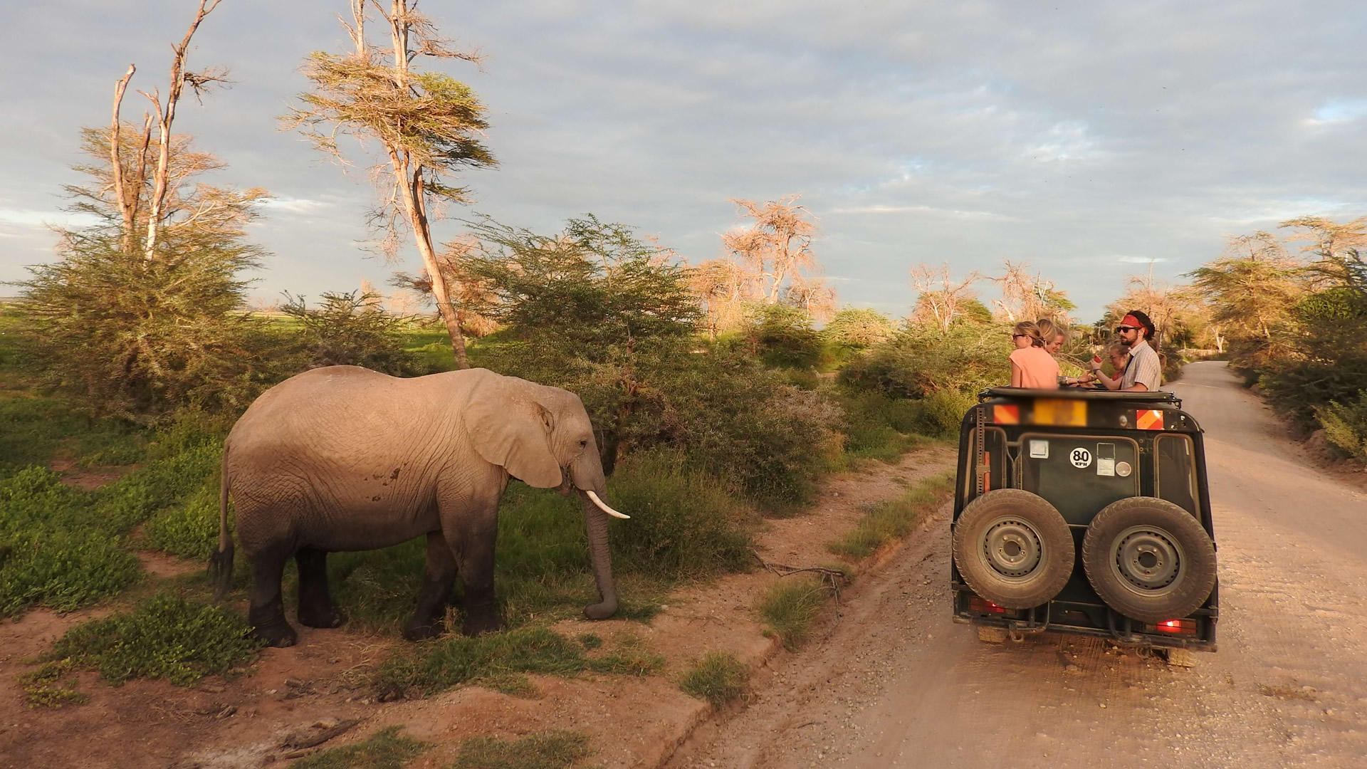 3 Days Amboseli Camping Safari