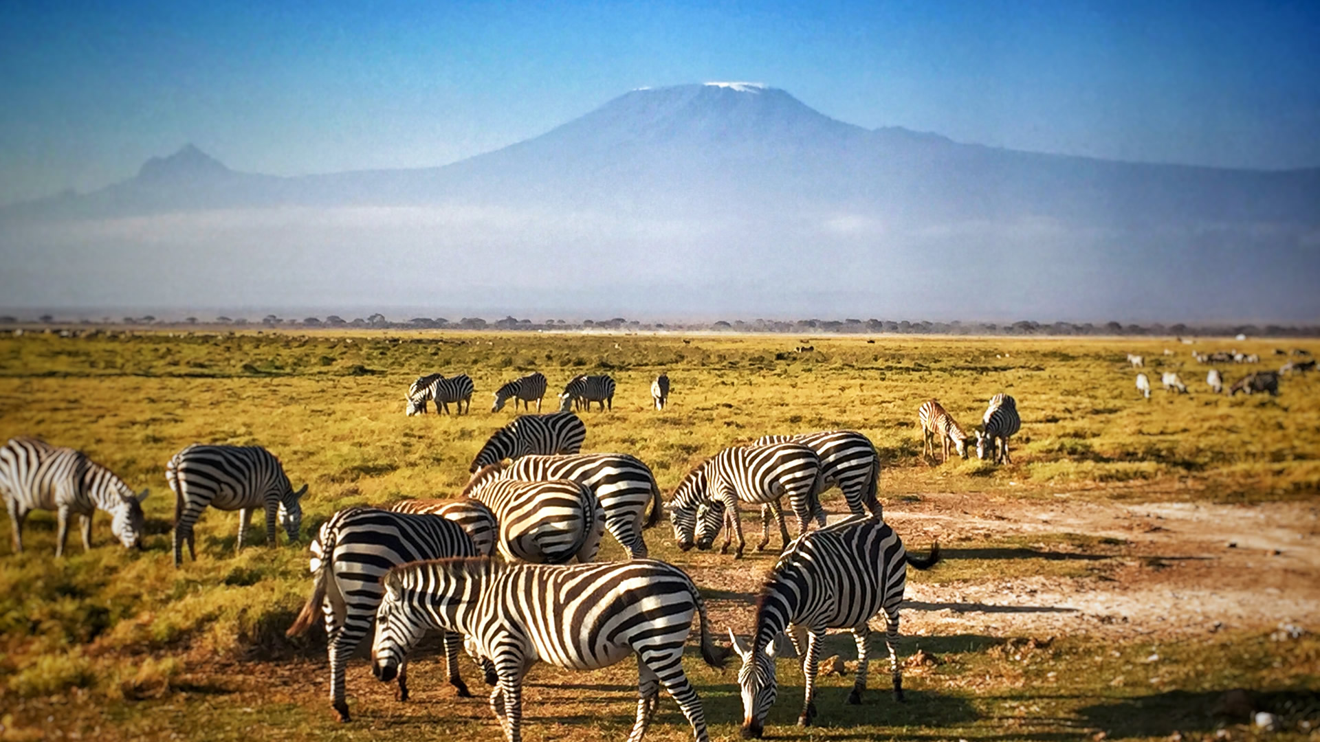 3 days amboseli experience