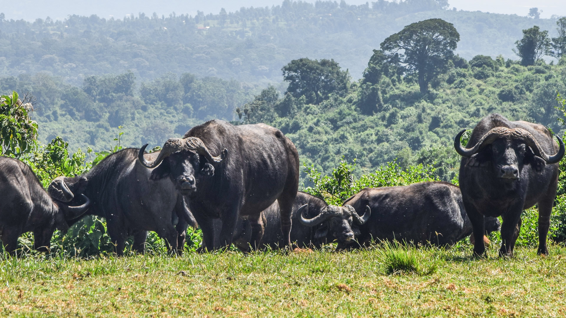 4 days samburu aberdare
