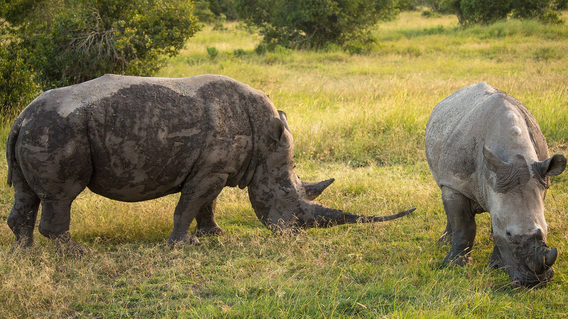 5 days samburu sweetwaters aberdares