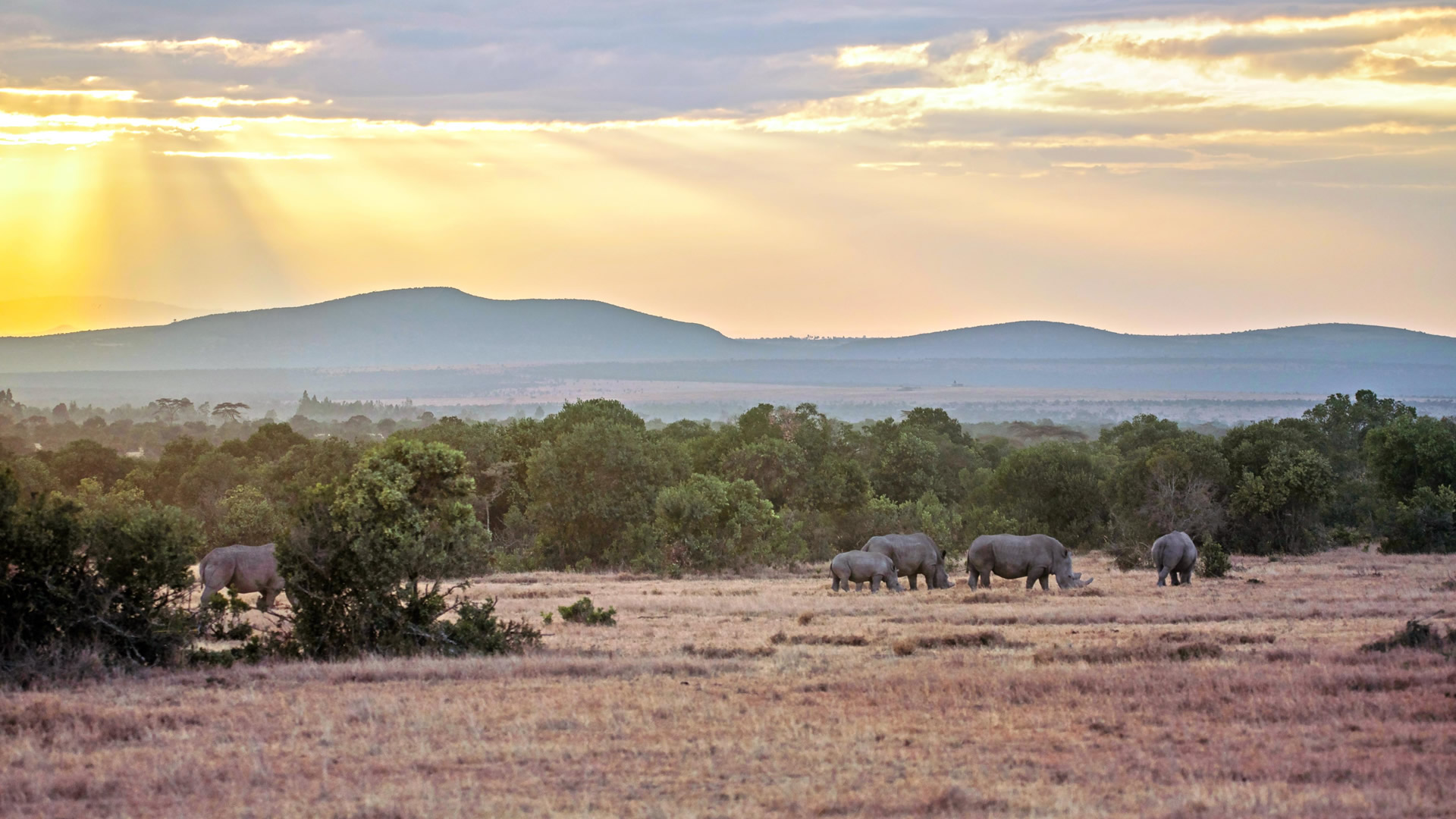 6 days aberdare samburu nakuru maasai mara