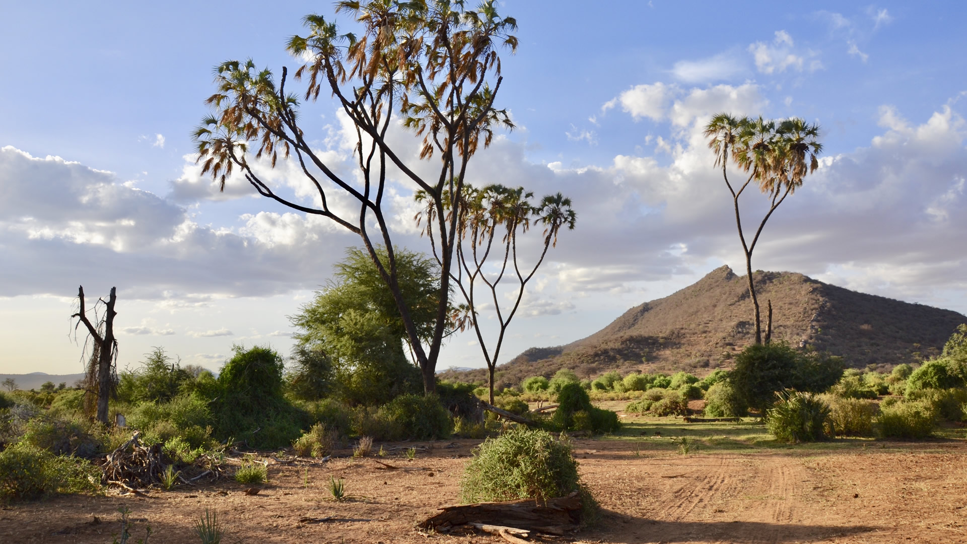 6 Days Samburu Lake Nakuru Maasai Mara