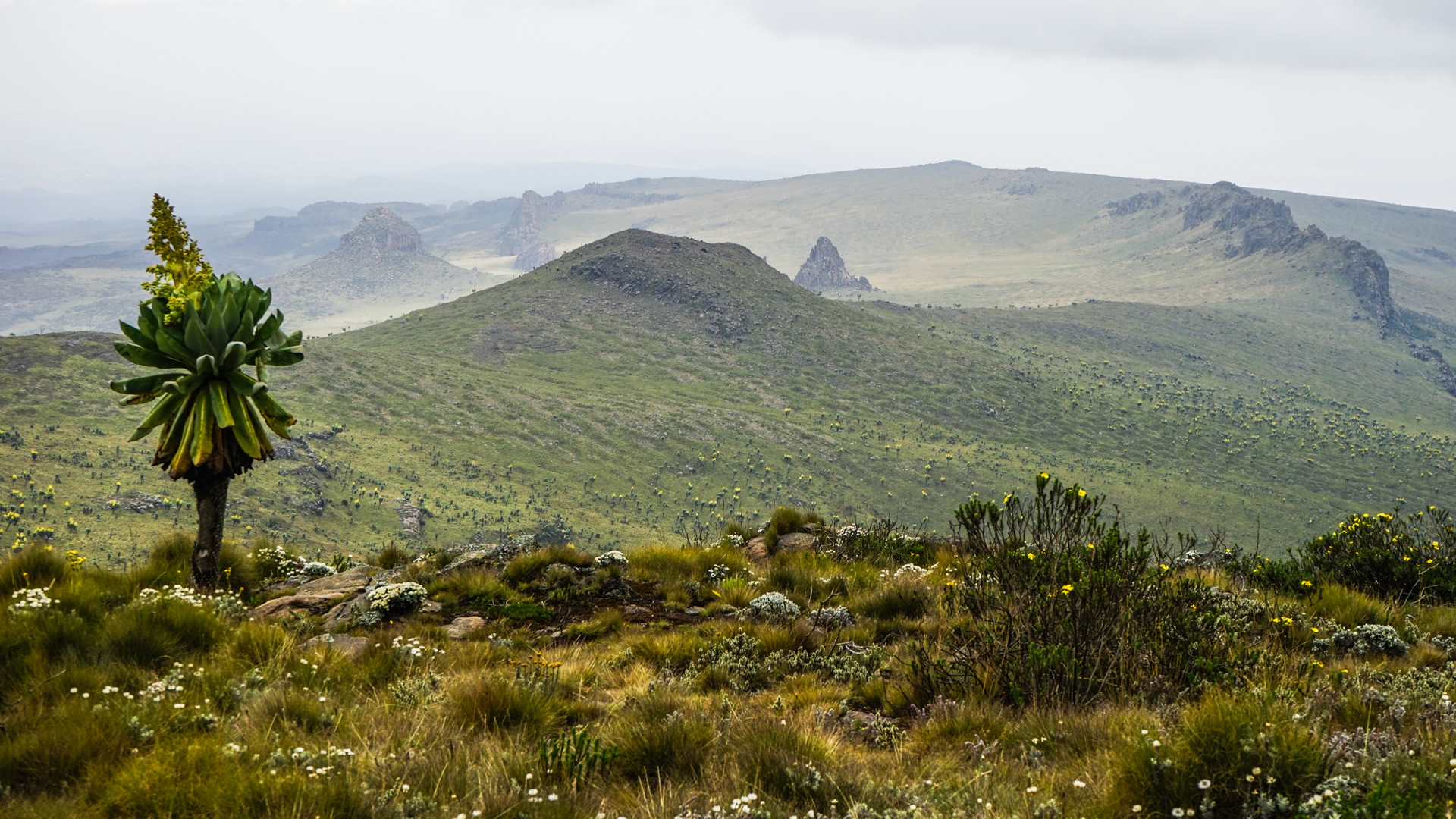 7 Days Meru Samburu Sweetwaters Aberdare