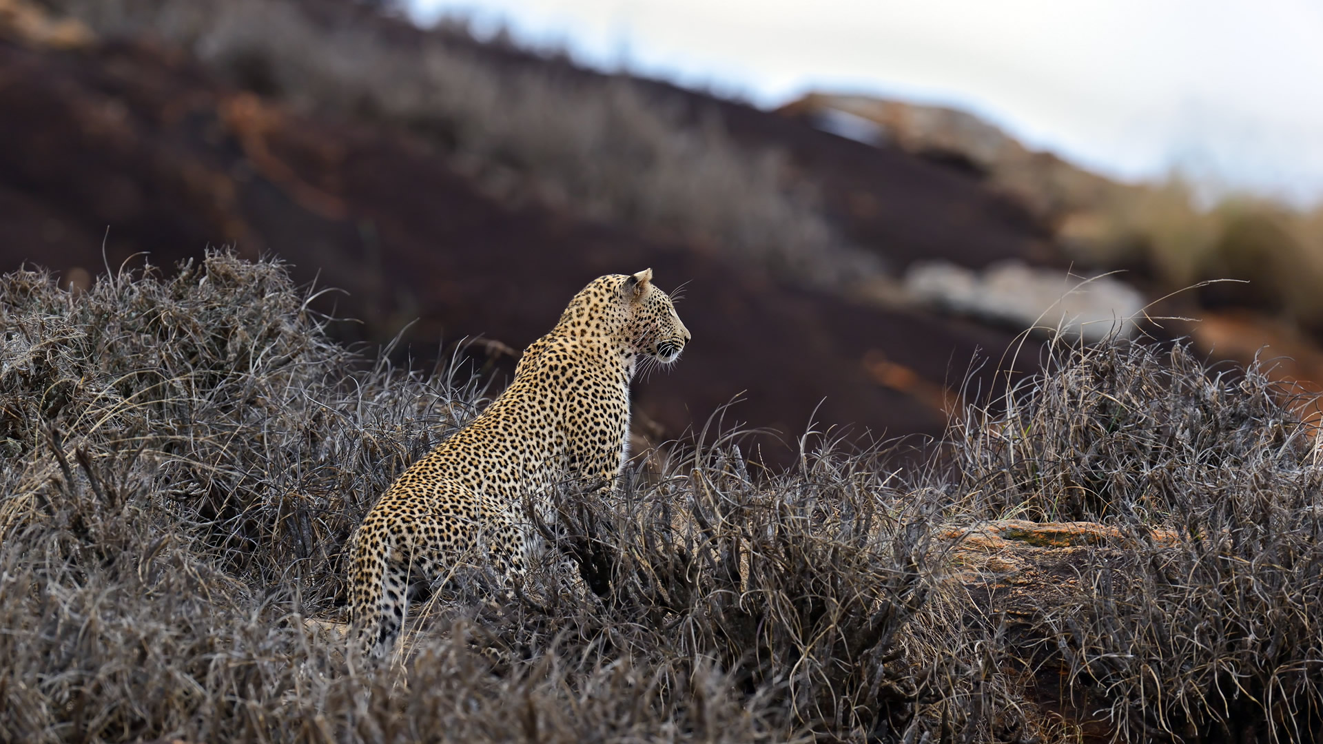 7 Days Meru Samburu Sweetwaters Aberdare