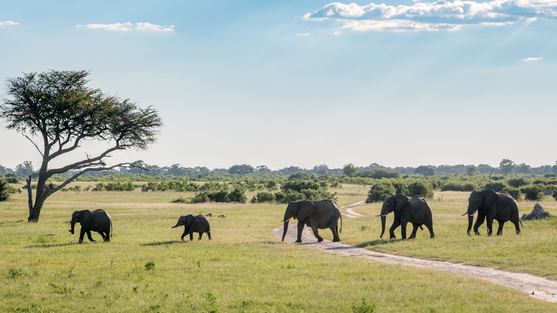 7 days tanzania ndovu safari