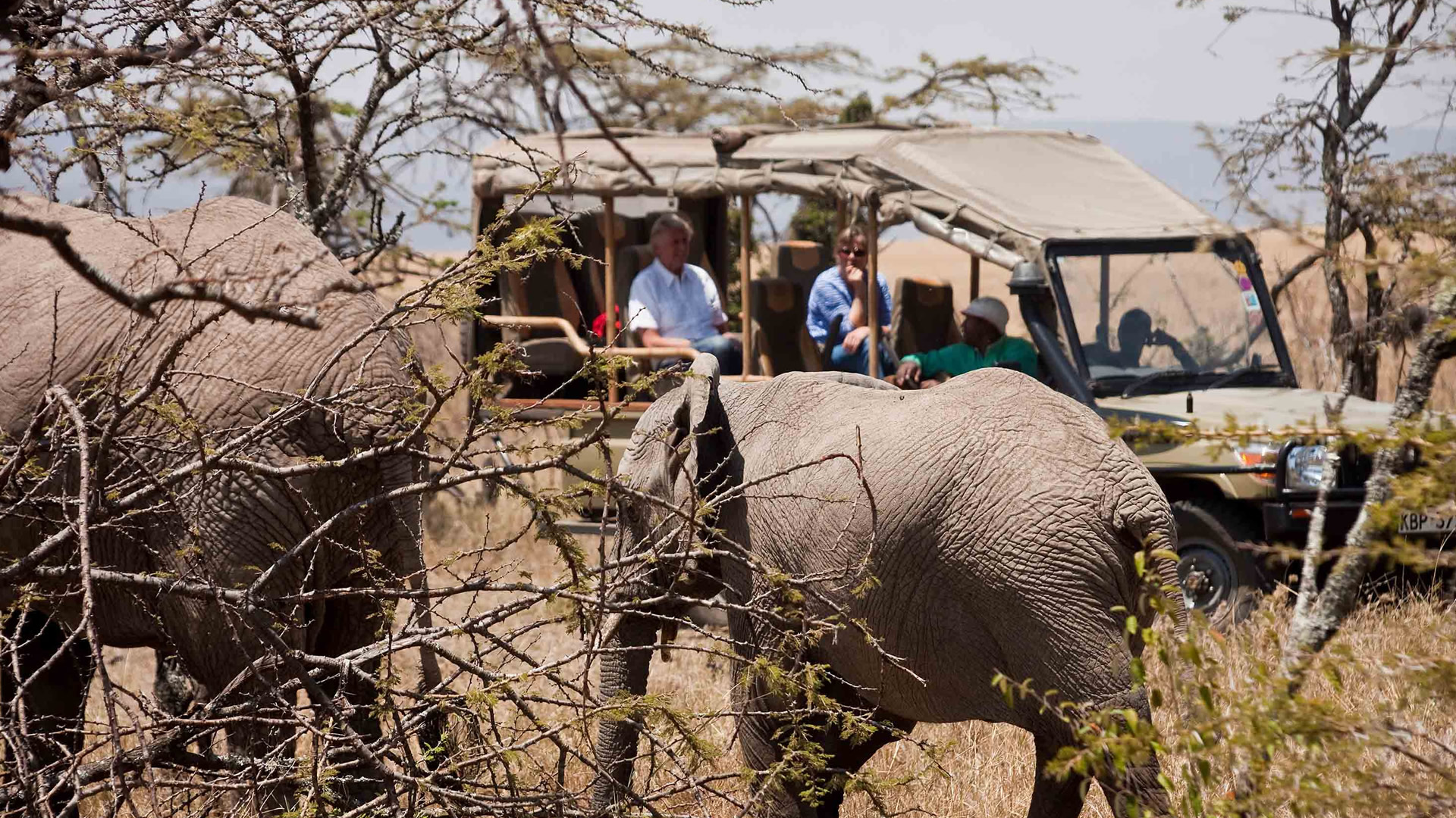 8 days meru samburu nakuru mara