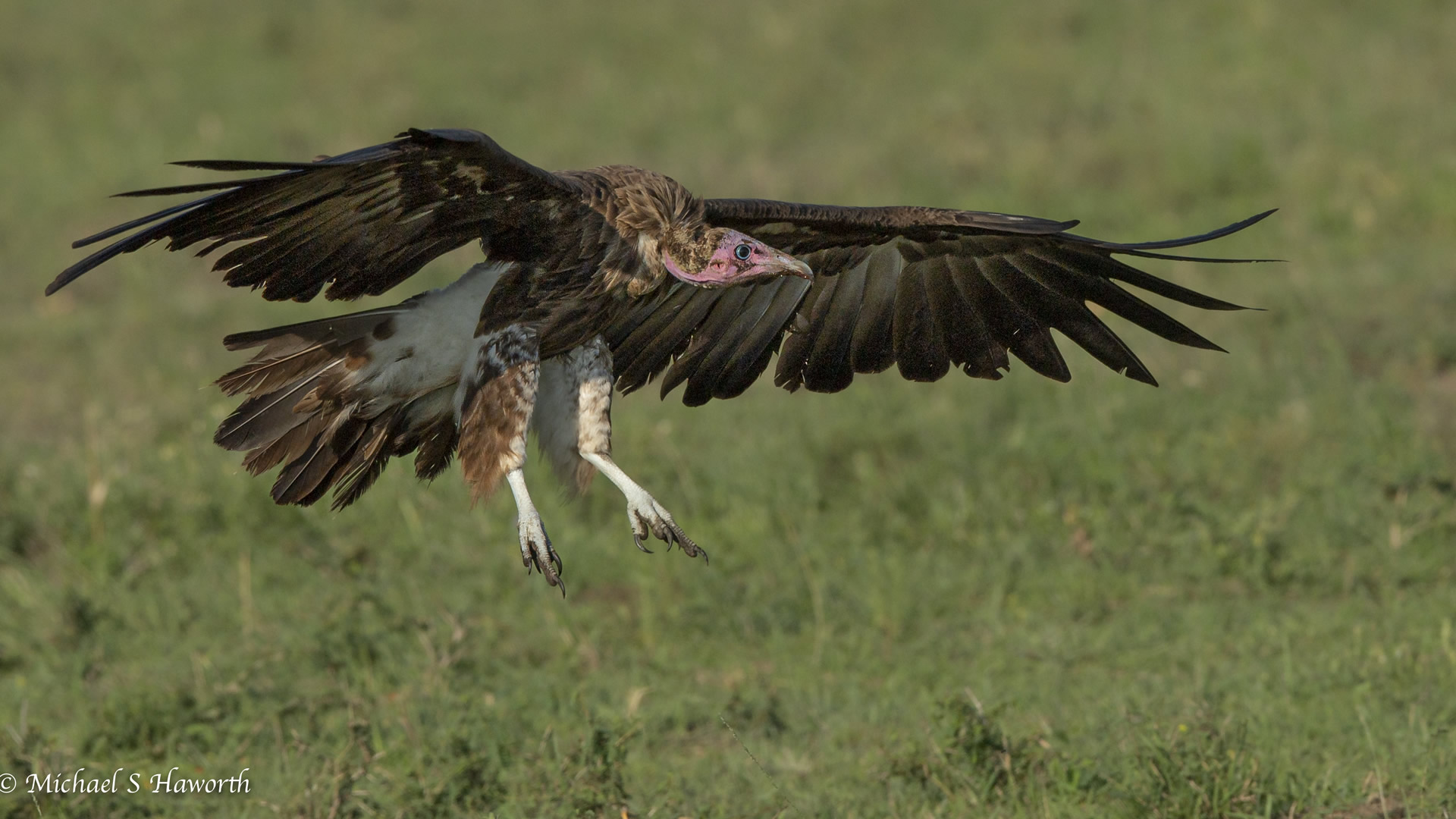 8 days samburu nakuru bogoria baringo naivasha mara