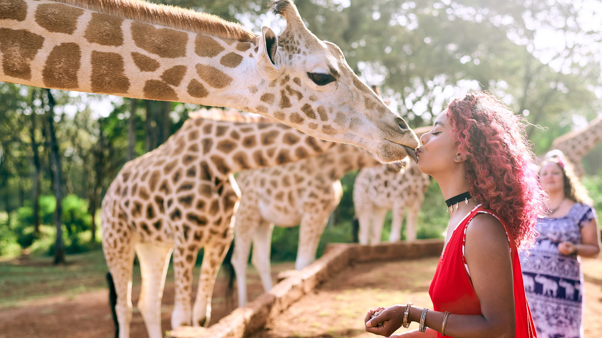 nairobi giraffe center