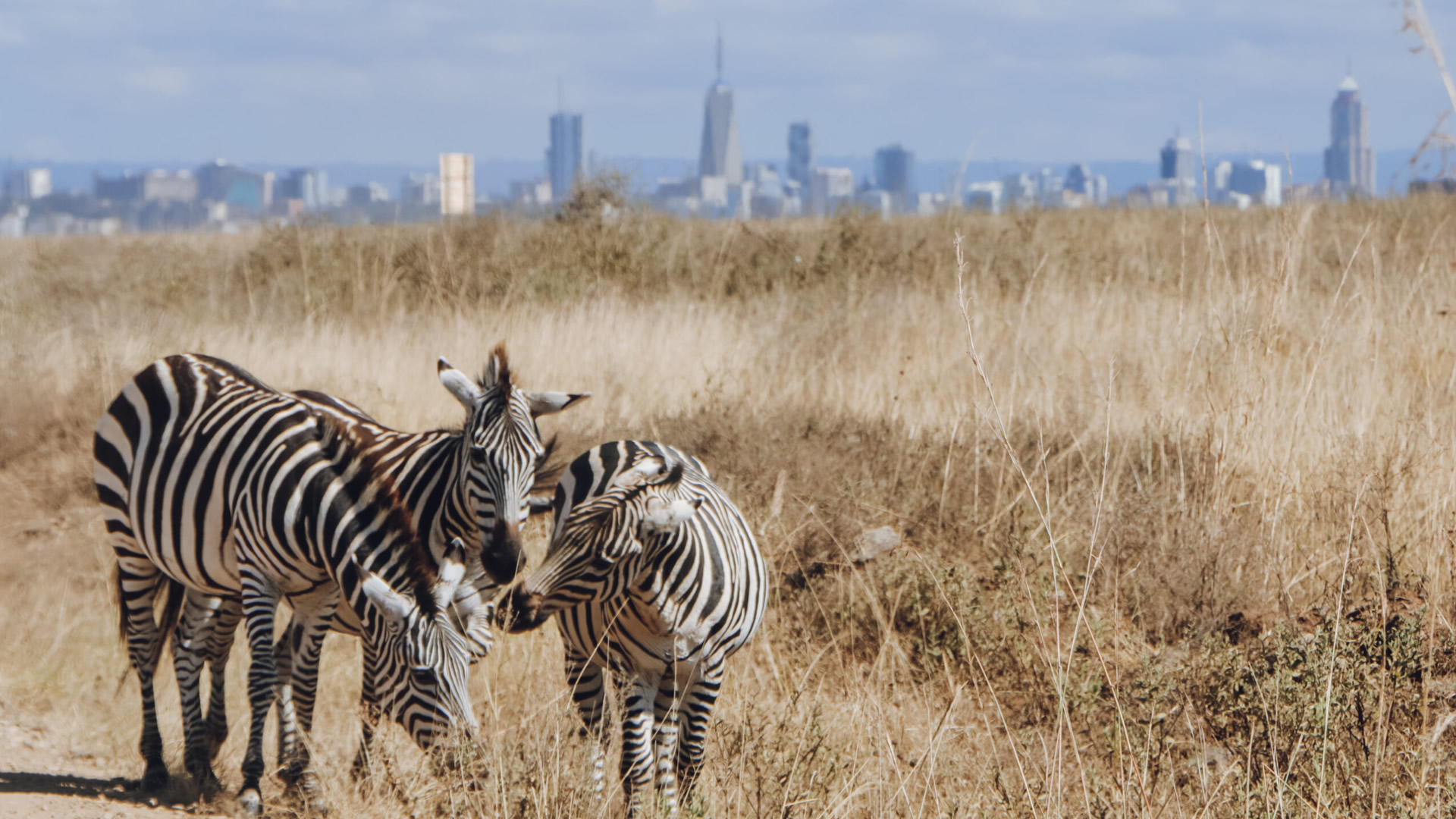 nairobi national park